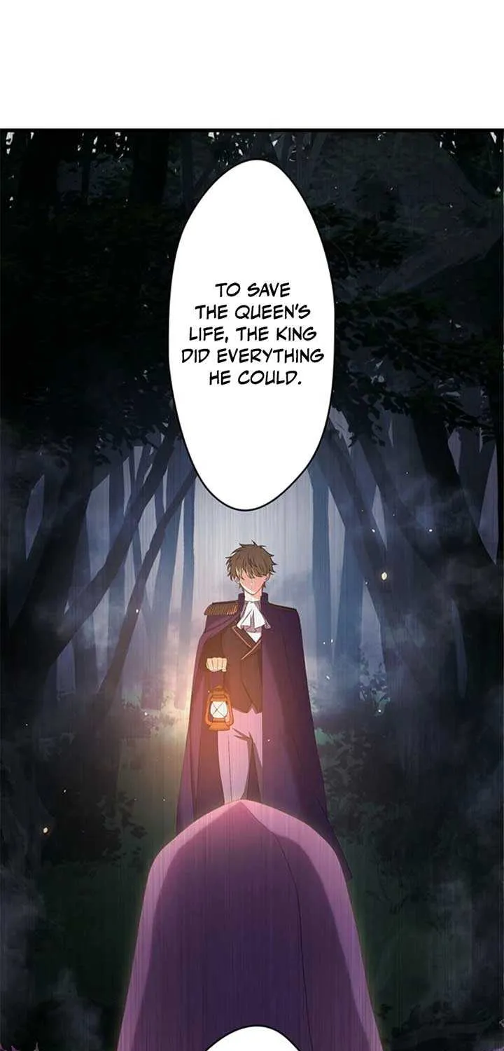 The Legendary Assassin Reincarnated as the Beloved Youngest Daughter of a Royal Family Chapter 42 page 14 - 
