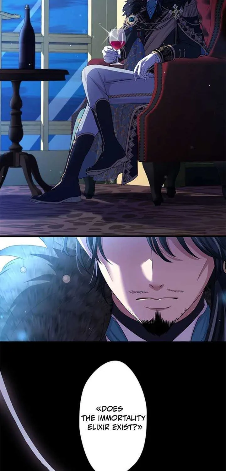 The Legendary Assassin Reincarnated as the Beloved Youngest Daughter of a Royal Family Chapter 42 page 33 - 
