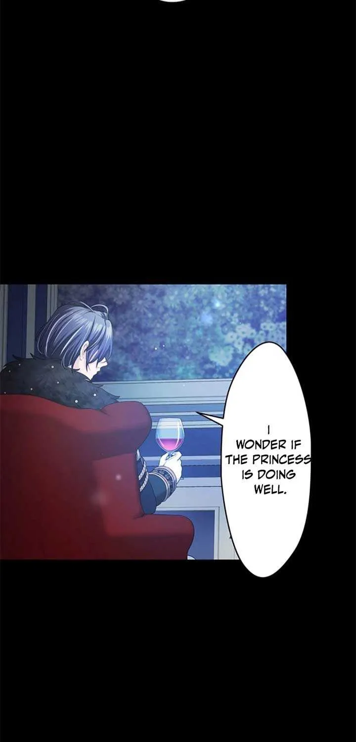 The Legendary Assassin Reincarnated as the Beloved Youngest Daughter of a Royal Family Chapter 42 page 41 - 