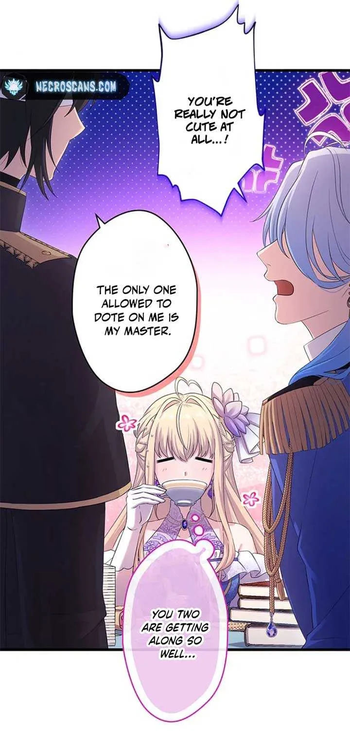 The Legendary Assassin Reincarnated as the Beloved Youngest Daughter of a Royal Family Chapter 49 page 19 - 