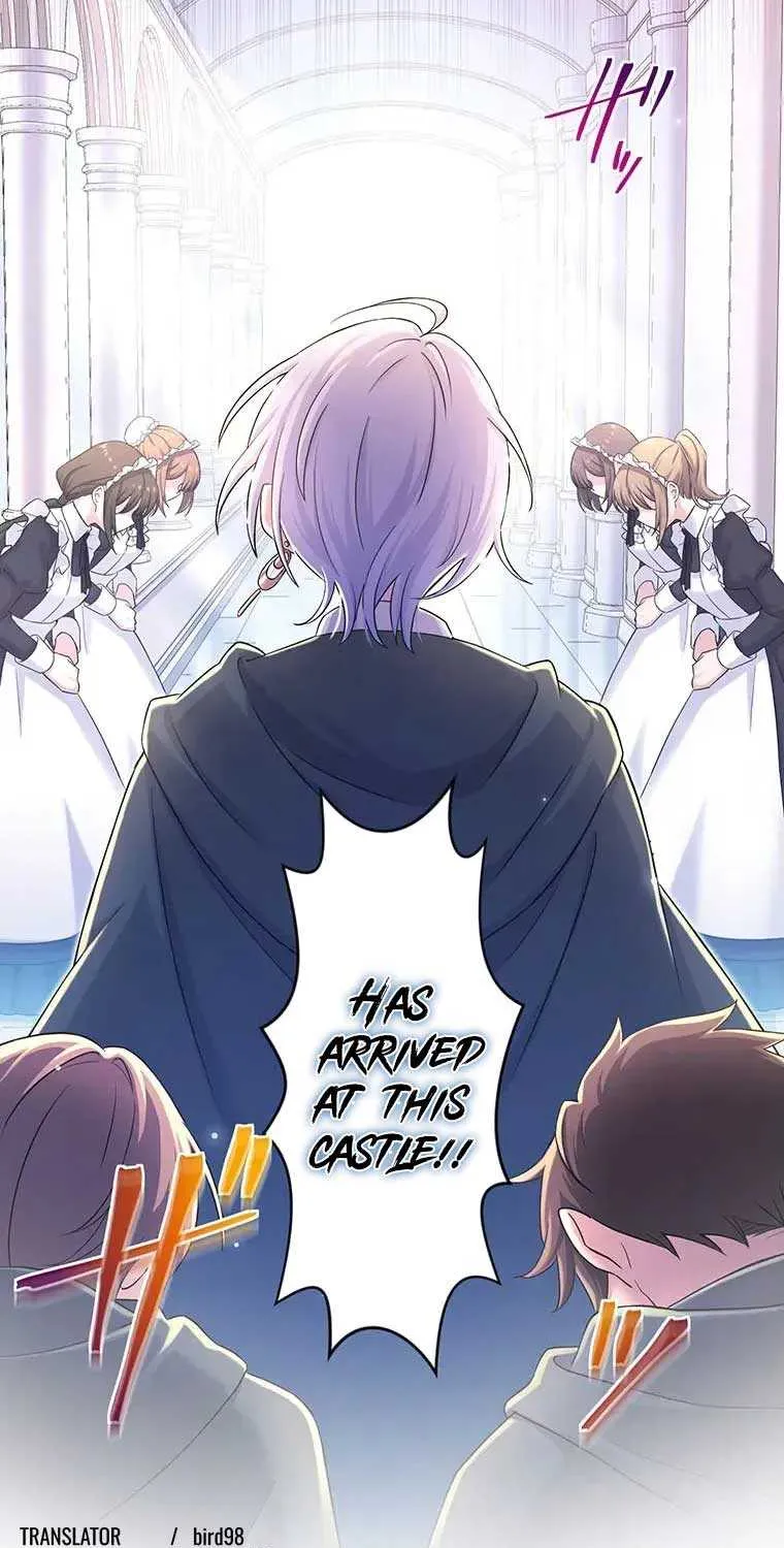 The Legendary Assassin Reincarnated as the Beloved Youngest Daughter of a Royal Family Chapter 9 page 41 - 
