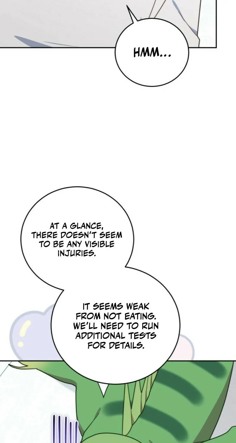 The Legendary Beasts Animal Hospital Chapter 0 page 15 - 