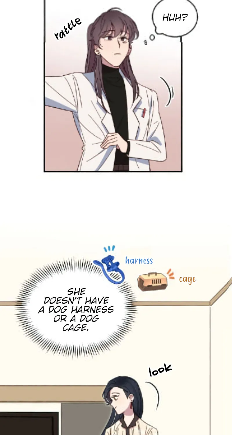 The Legendary Beasts Animal Hospital Chapter 1 page 34 - 