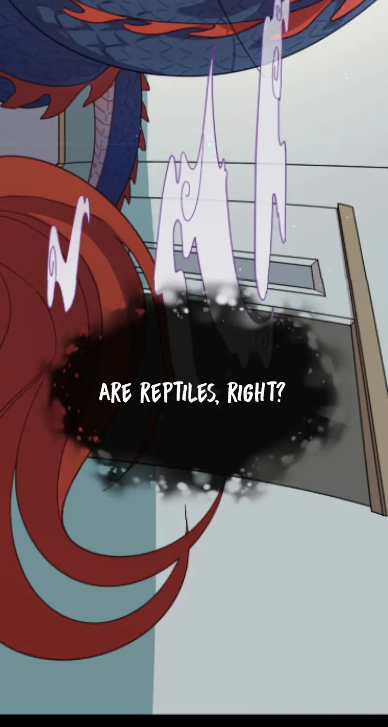 The Legendary Beasts Animal Hospital Chapter 1 page 56 - 