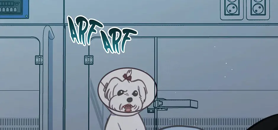 The Legendary Beasts Animal Hospital Chapter 101 page 73 - 