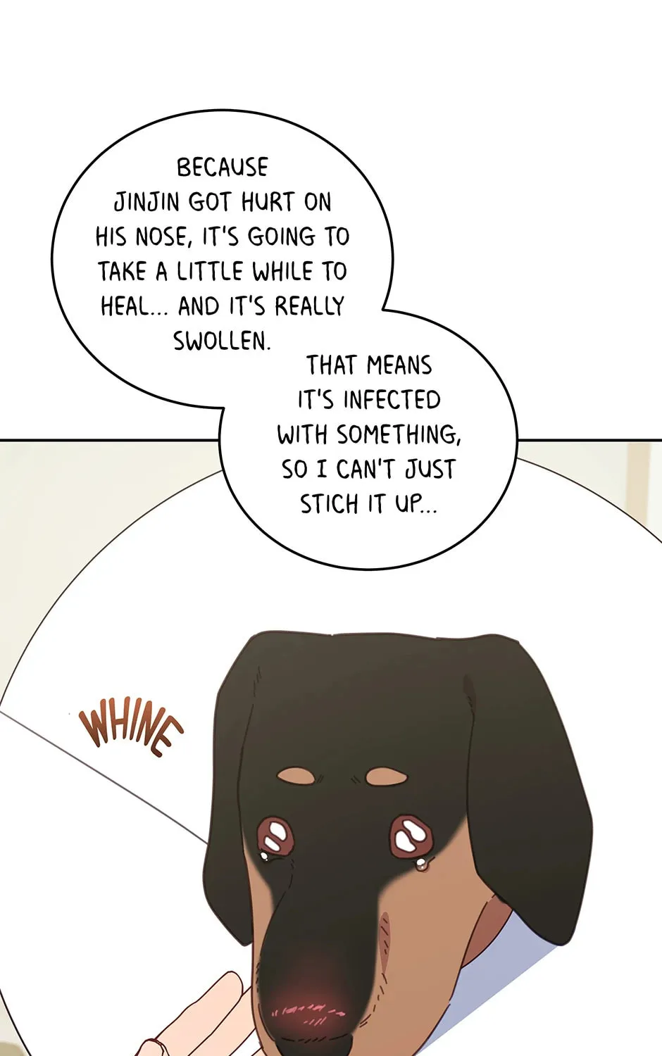 The Legendary Beasts Animal Hospital Chapter 116 page 61 - 