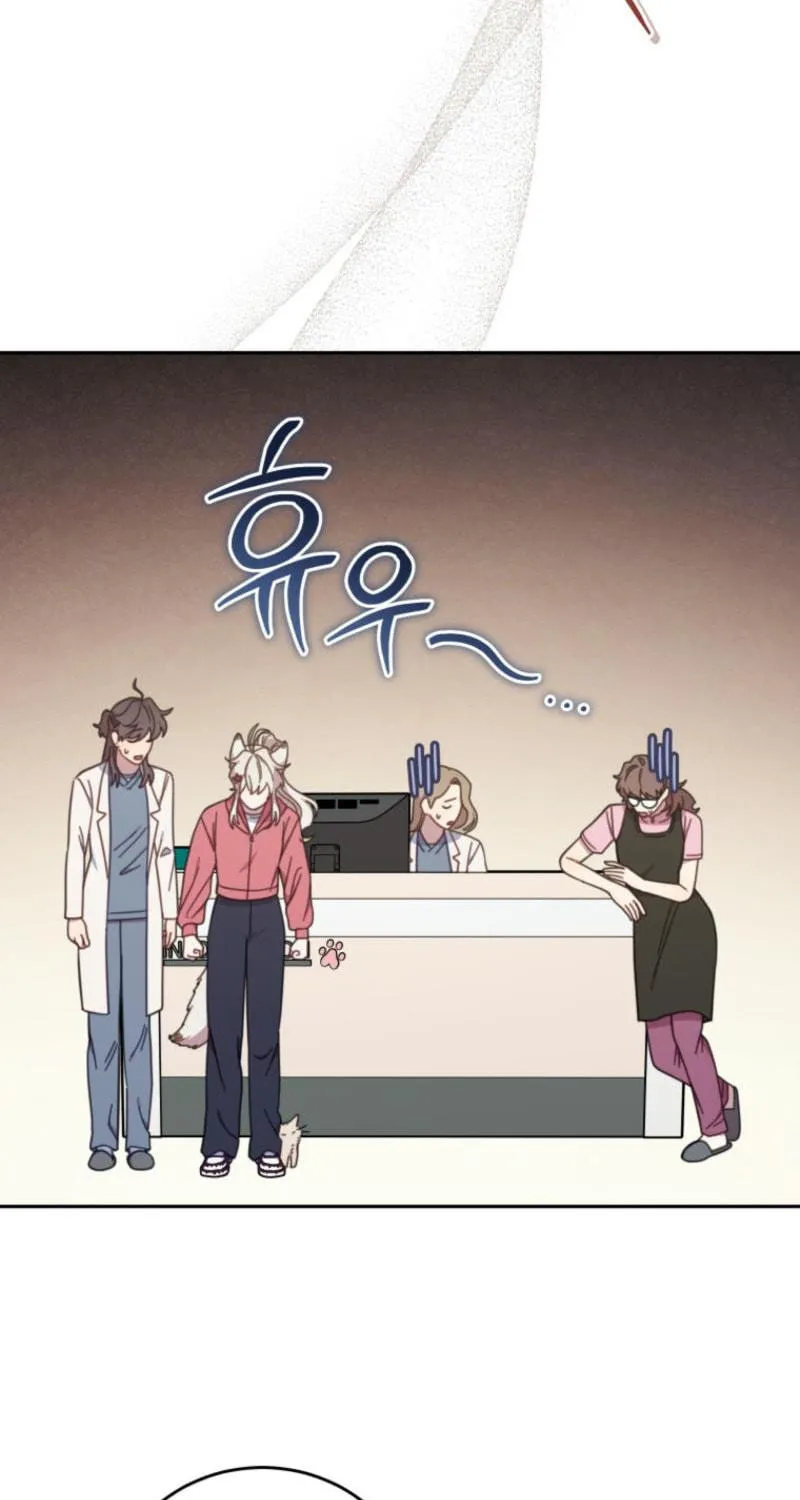 The Legendary Beasts Animal Hospital Chapter 132 page 29 - 