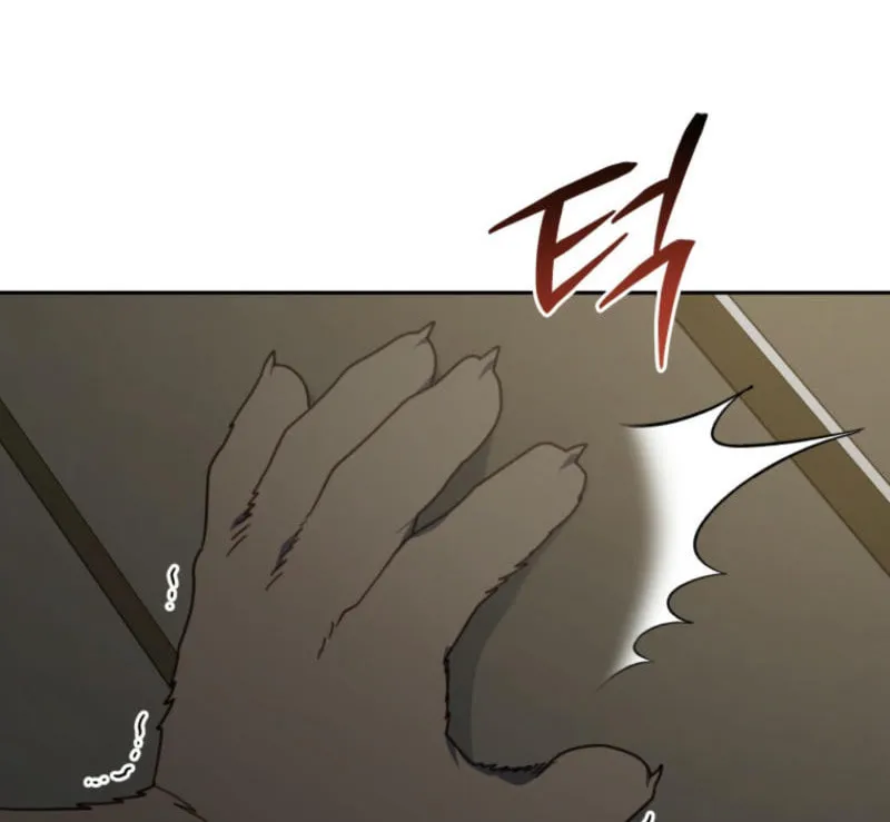 The Legendary Beasts Animal Hospital Chapter 133 page 4 - 