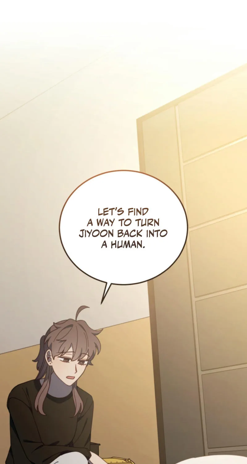 The Legendary Beasts Animal Hospital Chapter 133 page 37 - 