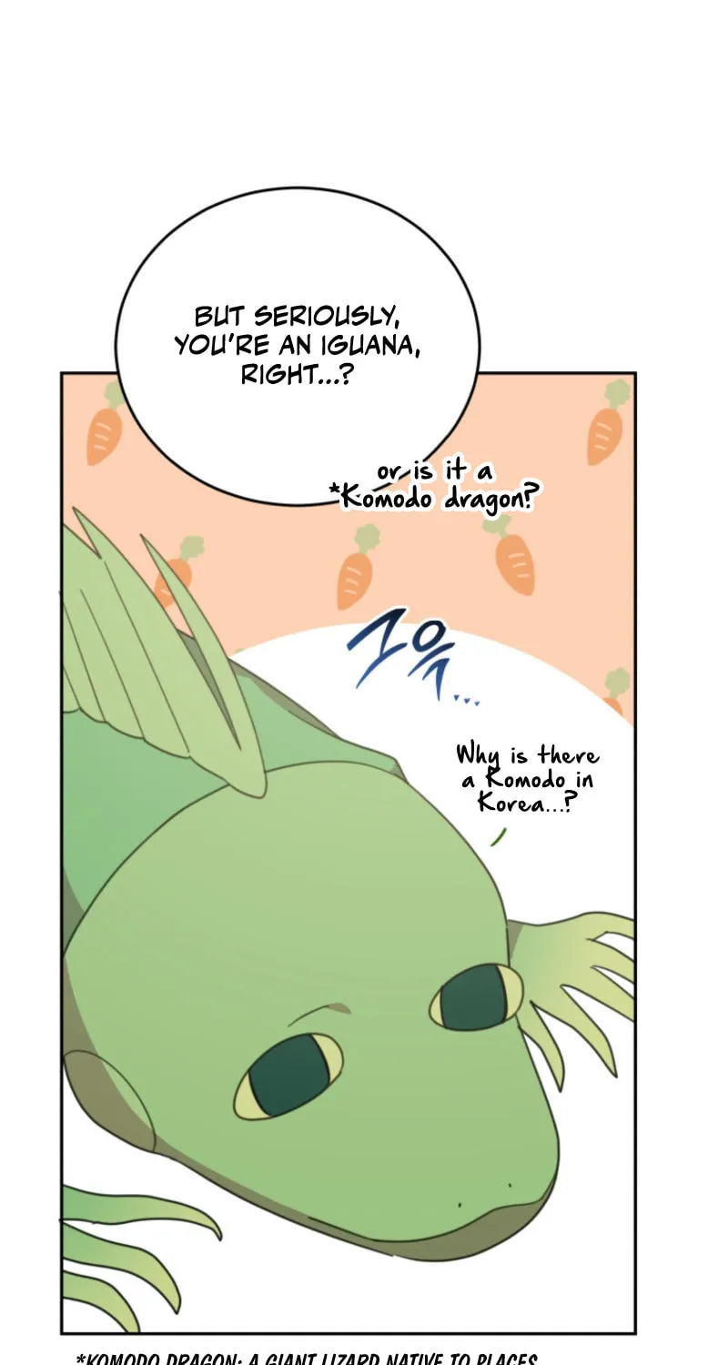 The Legendary Beasts Animal Hospital Chapter 133 page 61 - 