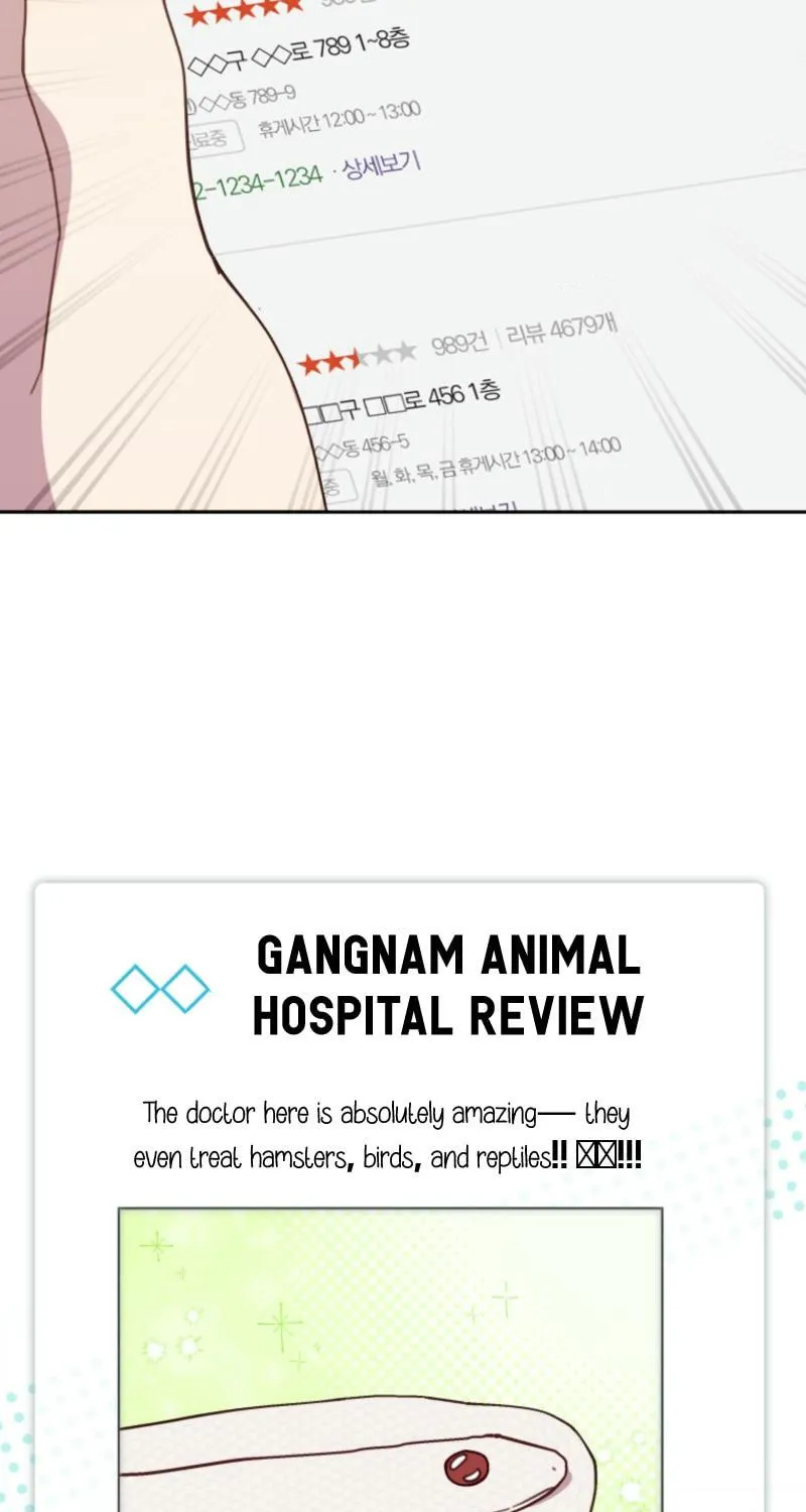 The Legendary Beasts Animal Hospital Chapter 133 page 65 - 