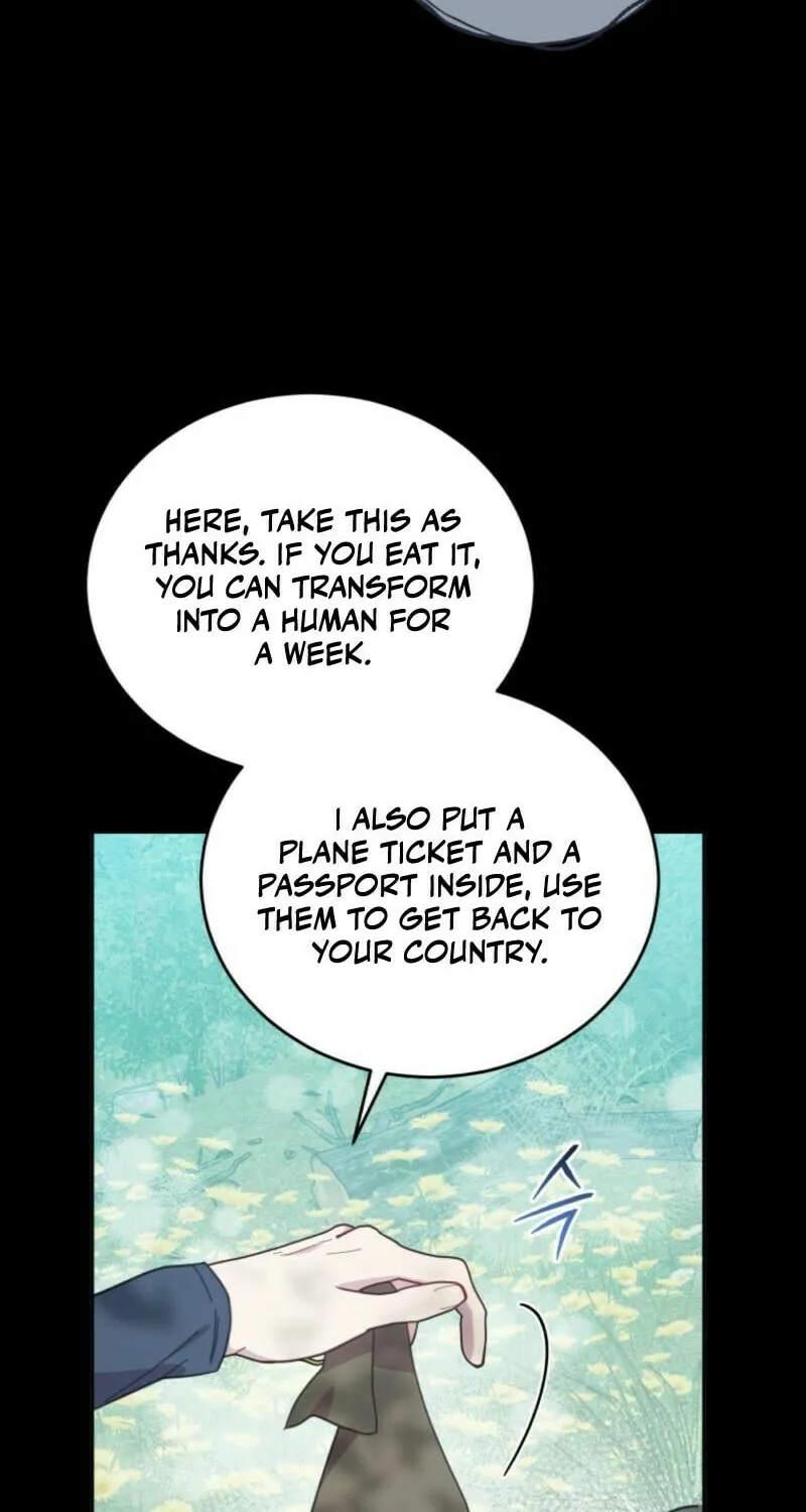 The Legendary Beasts Animal Hospital Chapter 136 page 19 - 