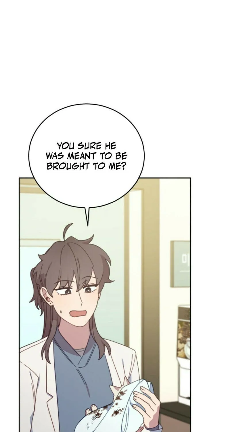 The Legendary Beasts Animal Hospital Chapter 138 page 61 - 