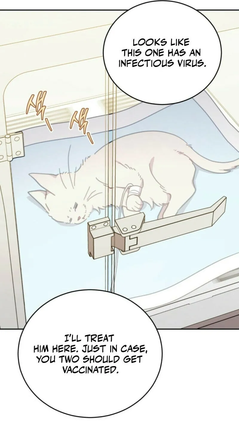 The Legendary Beasts Animal Hospital Chapter 138 page 67 - 