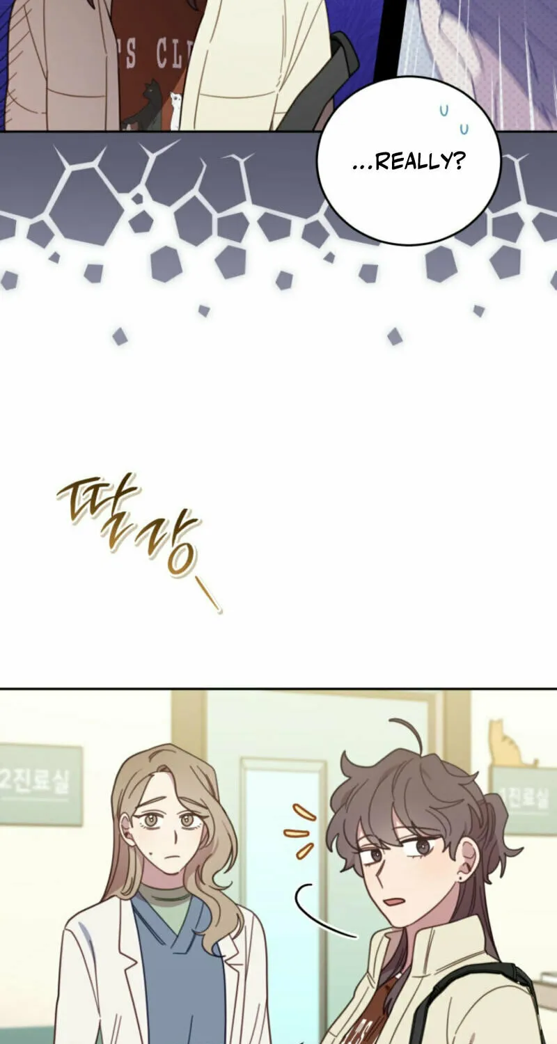 The Legendary Beasts Animal Hospital Chapter 140 page 5 - 