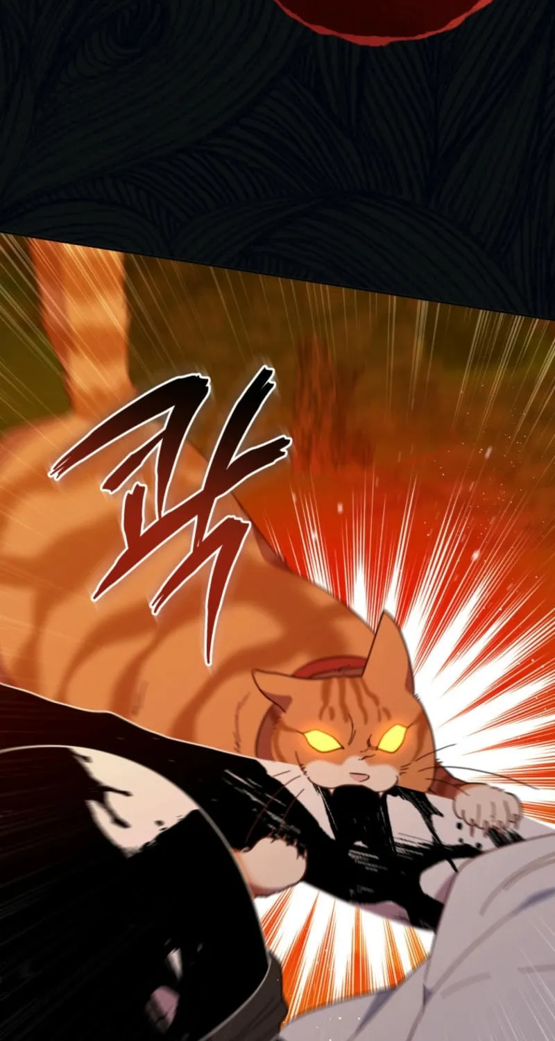 The Legendary Beasts Animal Hospital Chapter 141 page 68 - 