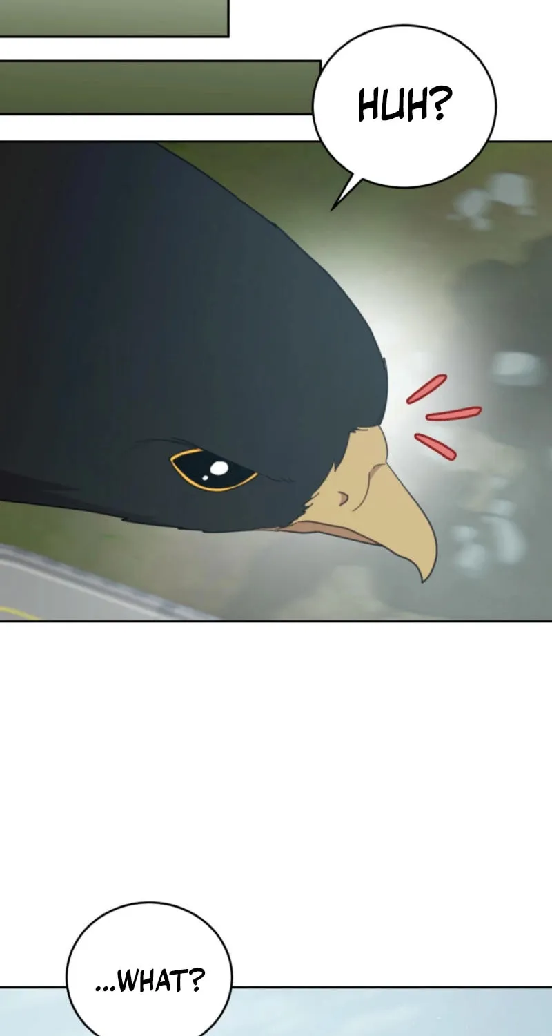 The Legendary Beasts Animal Hospital Chapter 142 page 42 - 