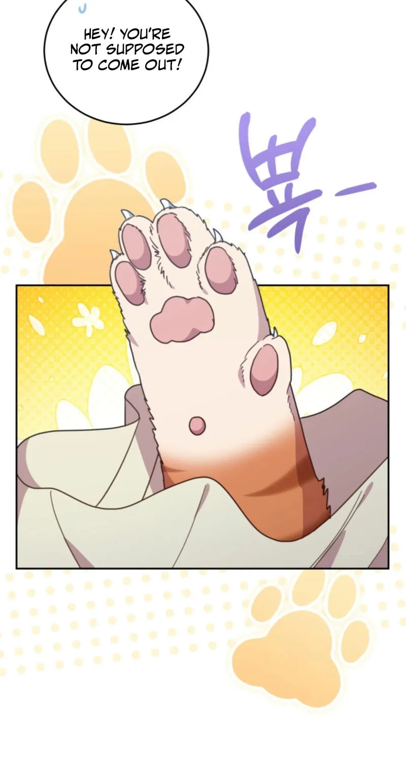The Legendary Beasts Animal Hospital Chapter 143 page 26 - 