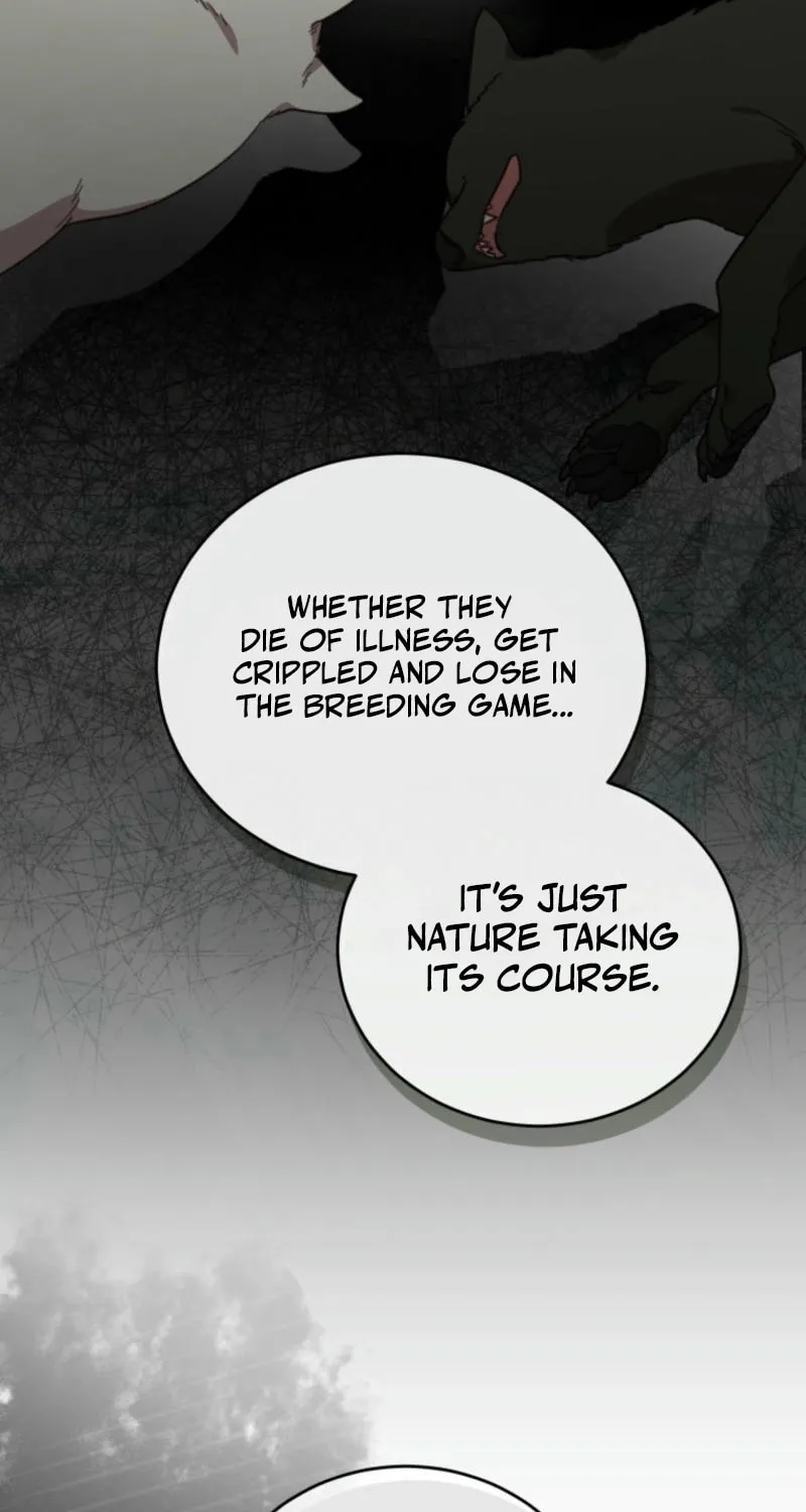 The Legendary Beasts Animal Hospital Chapter 144 page 55 - 