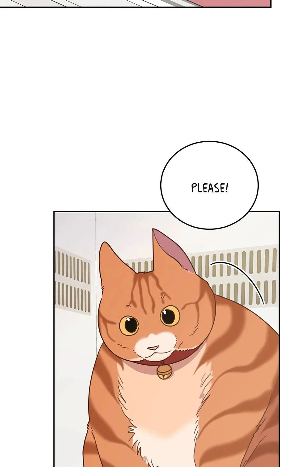 The Legendary Beasts Animal Hospital Chapter 146 page 13 - 