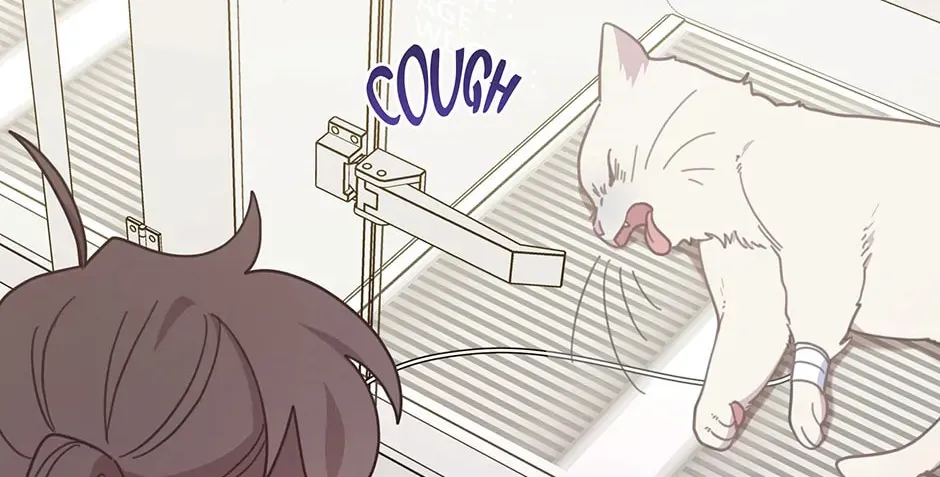 The Legendary Beasts Animal Hospital Chapter 146 page 8 - 