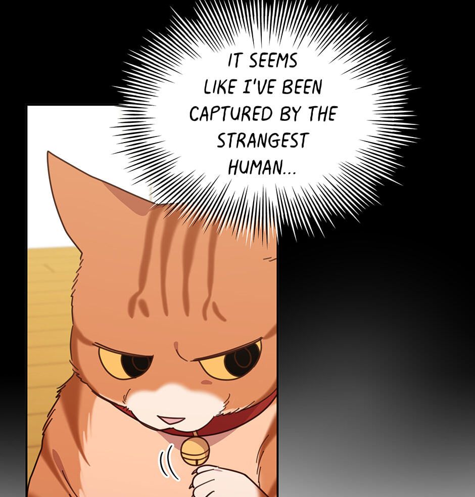 The Legendary Beasts Animal Hospital Chapter 149 page 35 - 