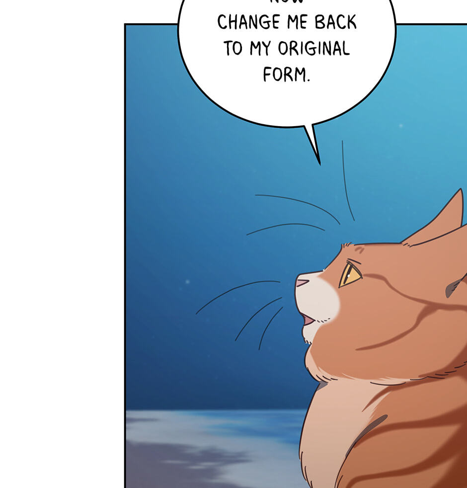 The Legendary Beasts Animal Hospital Chapter 149 page 44 - 