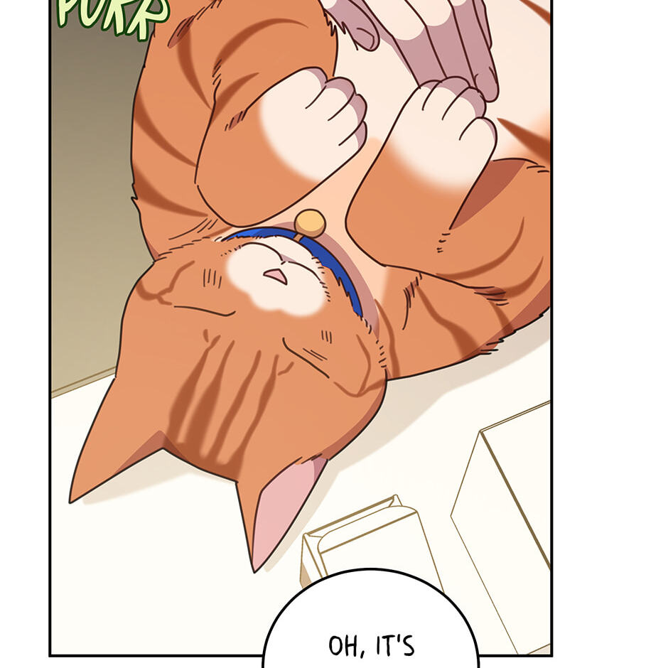 The Legendary Beasts Animal Hospital Chapter 150 page 42 - 