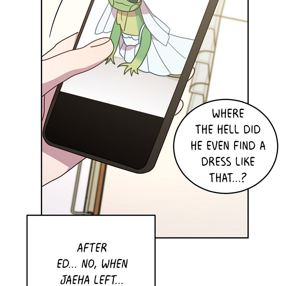 The Legendary Beasts Animal Hospital Chapter 150 page 47 - 