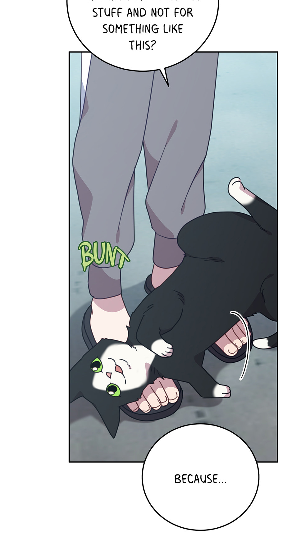 The Legendary Beasts Animal Hospital Chapter 151 page 85 - 