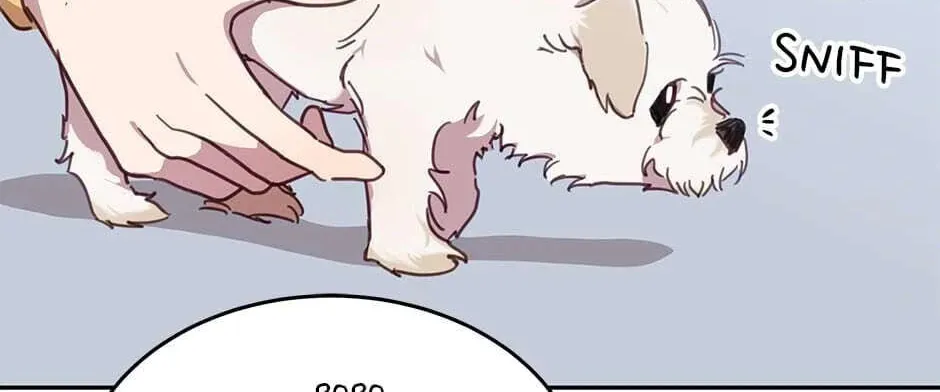 The Legendary Beasts Animal Hospital Chapter 17 page 14 - 