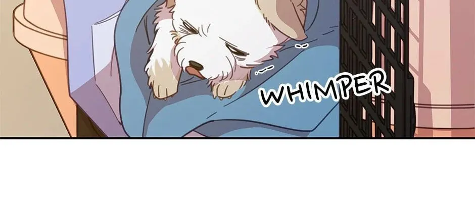 The Legendary Beasts Animal Hospital Chapter 19 page 22 - 