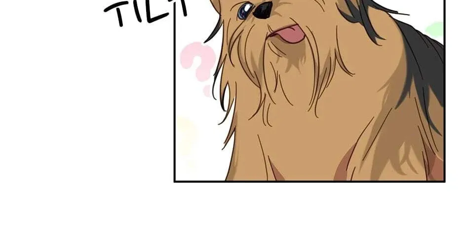 The Legendary Beasts Animal Hospital Chapter 20 page 26 - 