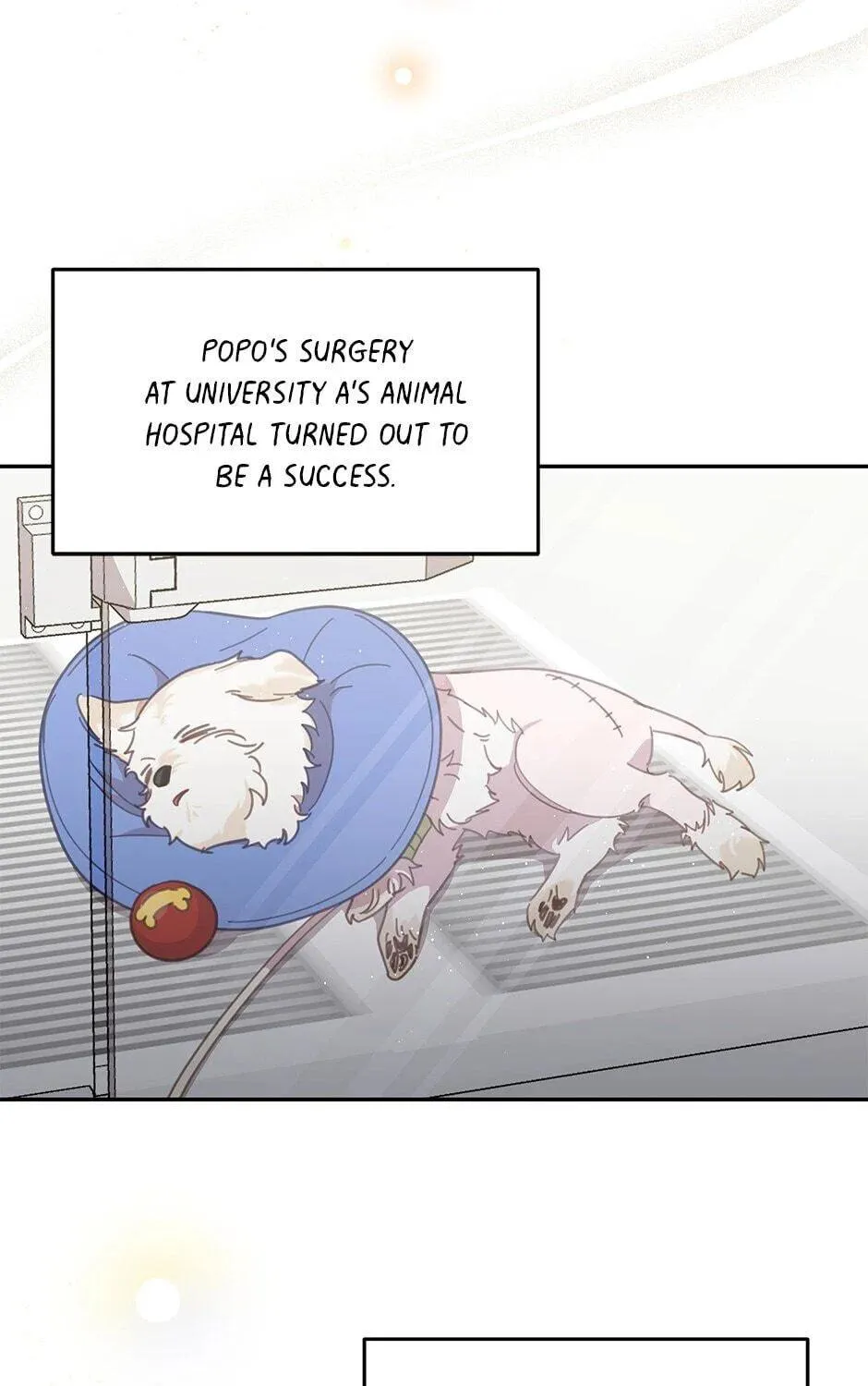 The Legendary Beasts Animal Hospital Chapter 20 page 35 - 