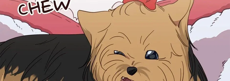 The Legendary Beasts Animal Hospital Chapter 20 page 38 - 