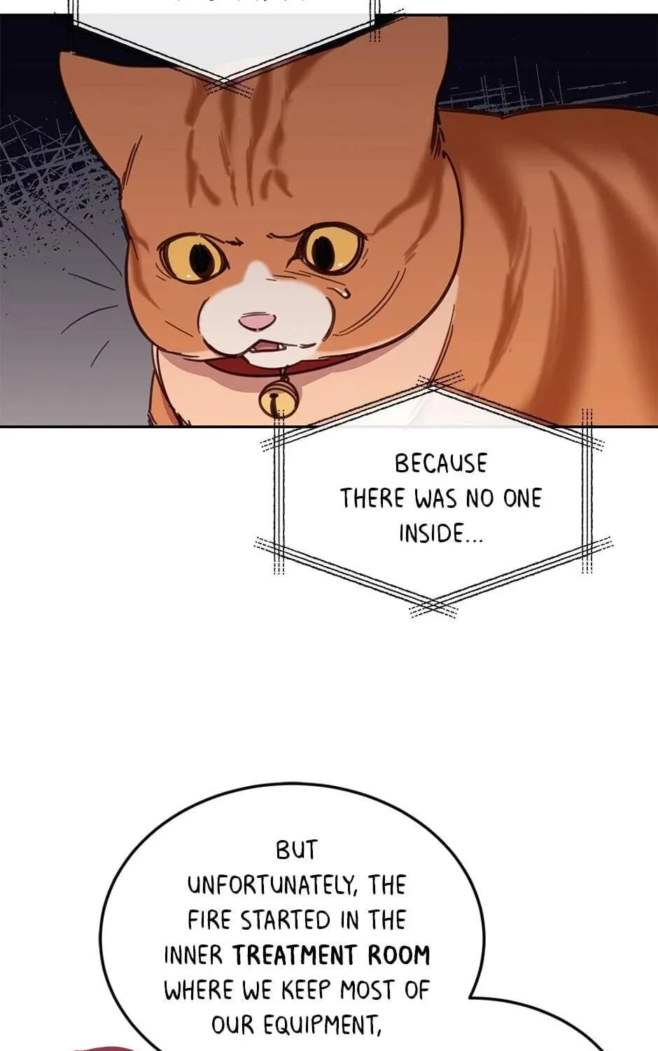 The Legendary Beasts Animal Hospital Chapter 28 page 29 - 