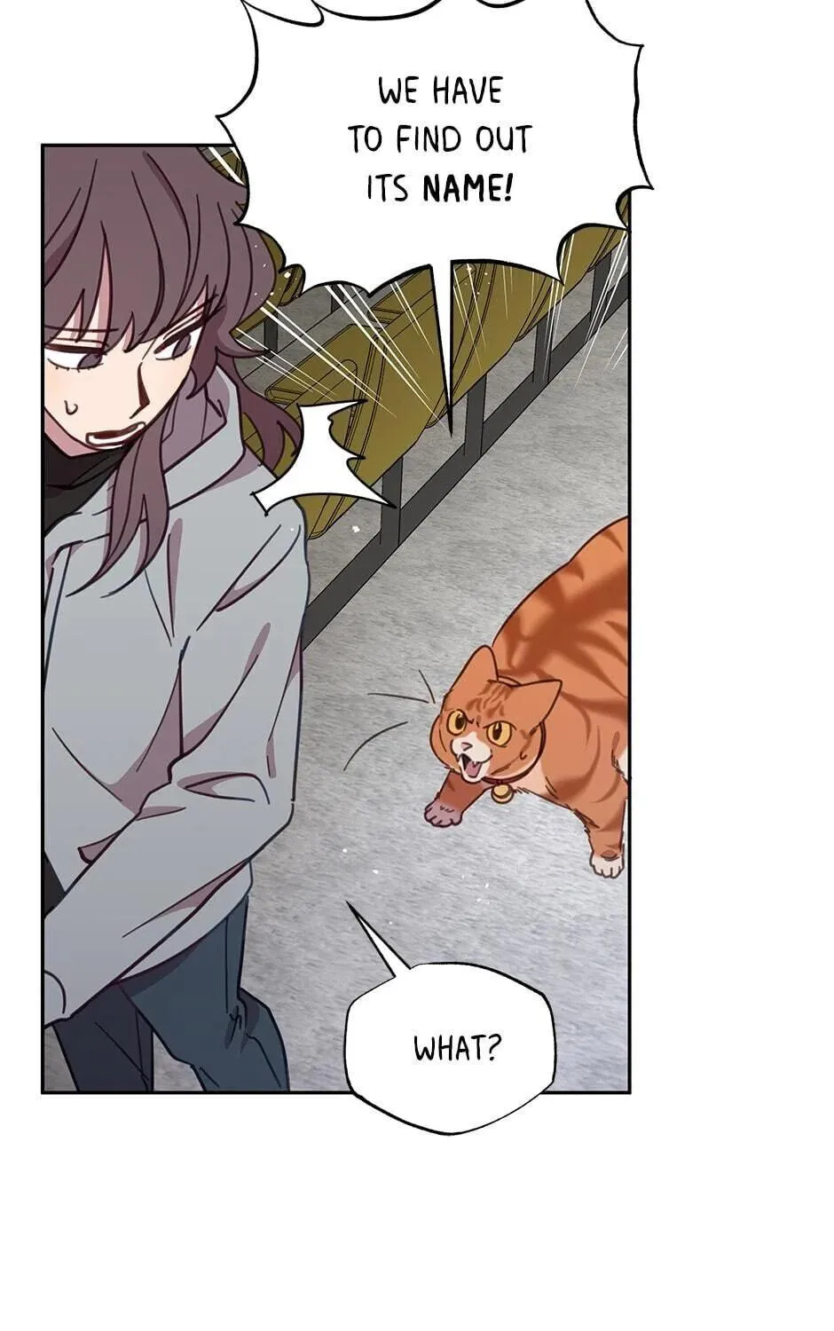The Legendary Beasts Animal Hospital Chapter 29 page 65 - 