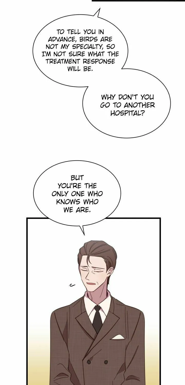 The Legendary Beasts Animal Hospital Chapter 3 page 25 - 