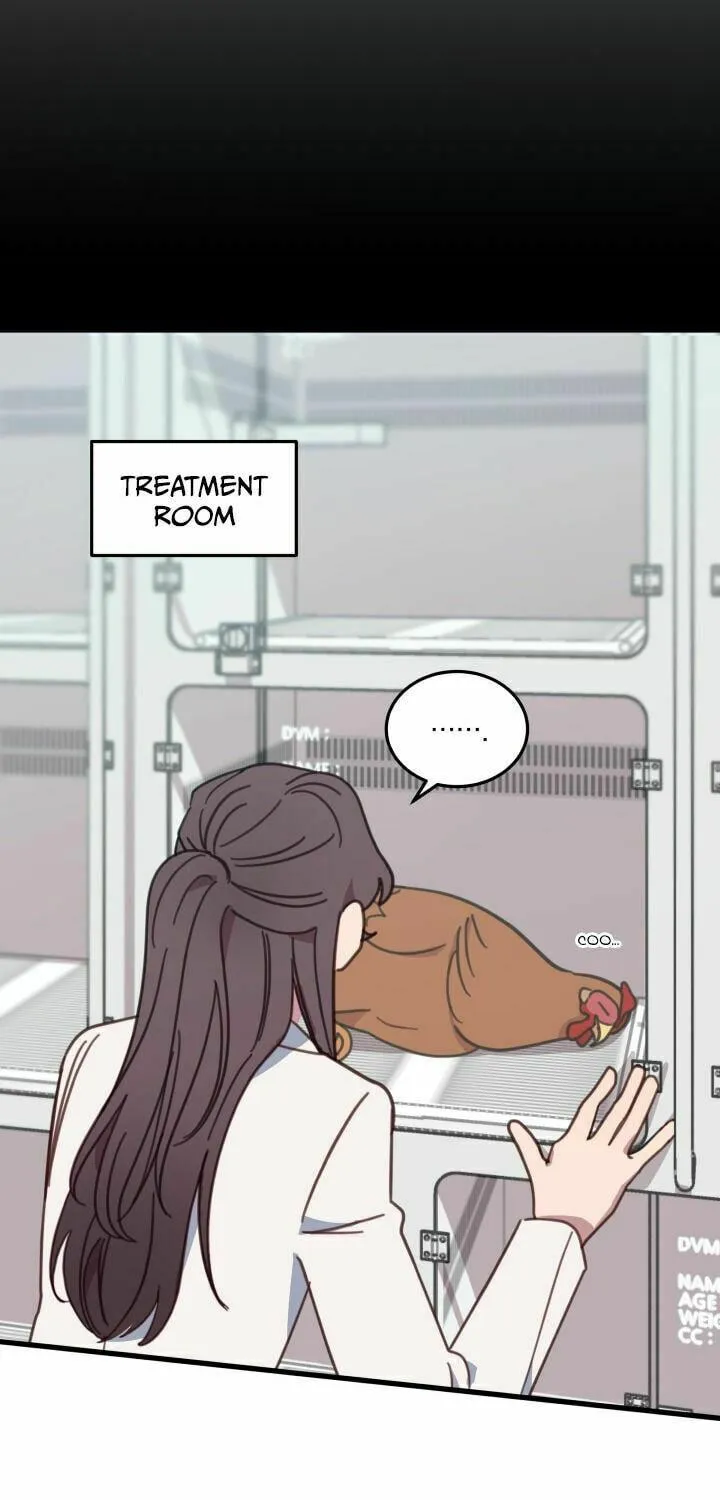 The Legendary Beasts Animal Hospital Chapter 3 page 29 - 