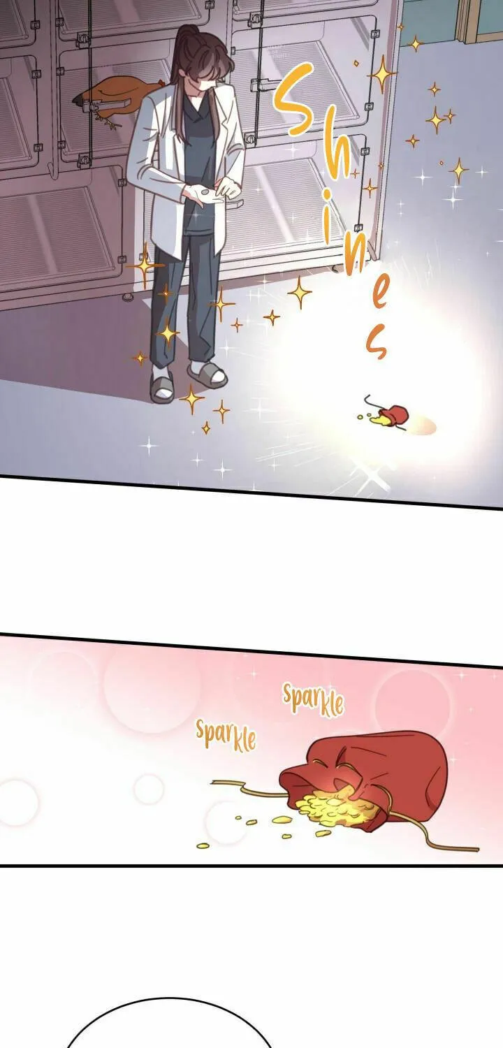 The Legendary Beasts Animal Hospital Chapter 3 page 36 - 