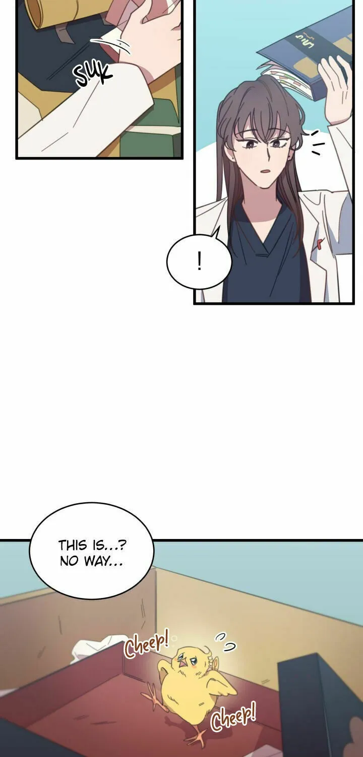 The Legendary Beasts Animal Hospital Chapter 3 page 45 - 