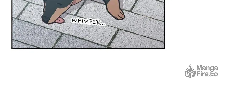 The Legendary Beasts Animal Hospital Chapter 32 page 30 - 
