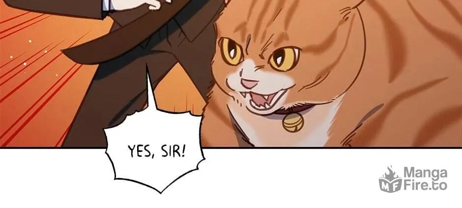 The Legendary Beasts Animal Hospital Chapter 33 page 84 - 