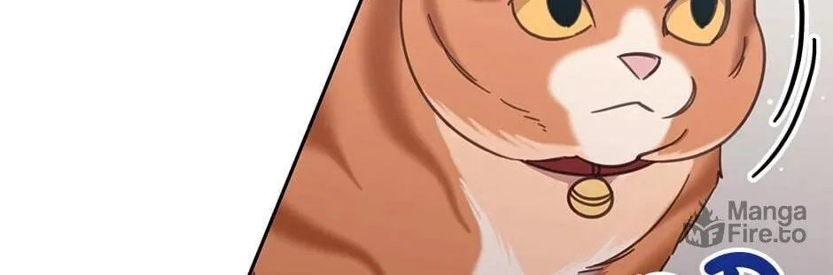 The Legendary Beasts Animal Hospital Chapter 34 page 36 - 