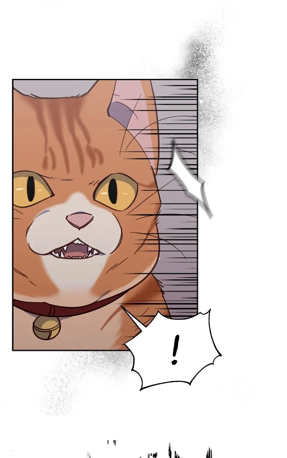 The Legendary Beasts Animal Hospital Chapter 35 page 61 - 