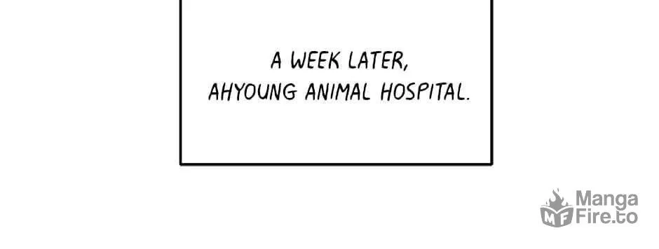 The Legendary Beasts Animal Hospital Chapter 37 page 50 - 