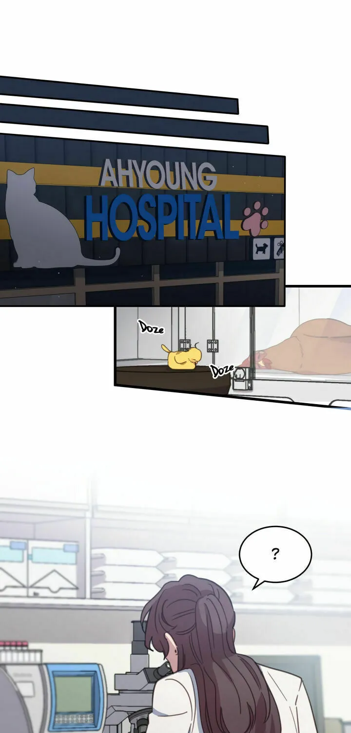 The Legendary Beasts Animal Hospital Chapter 4 page 17 - 