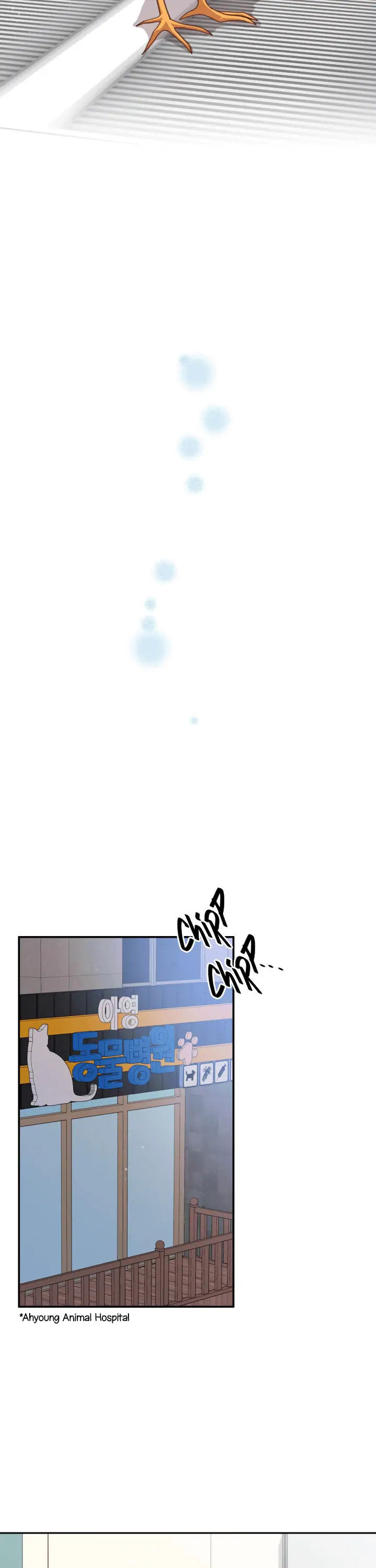 The Legendary Beasts Animal Hospital Chapter 5.1 page 8 - 
