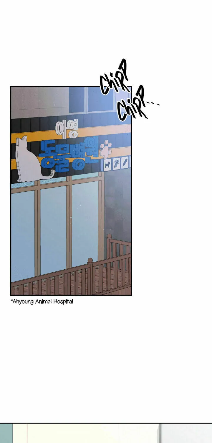 The Legendary Beasts Animal Hospital Chapter 6 page 18 - 