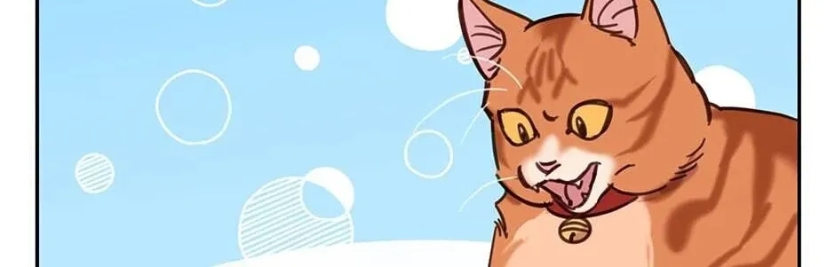 The Legendary Beasts Animal Hospital Chapter 7 page 8 - 
